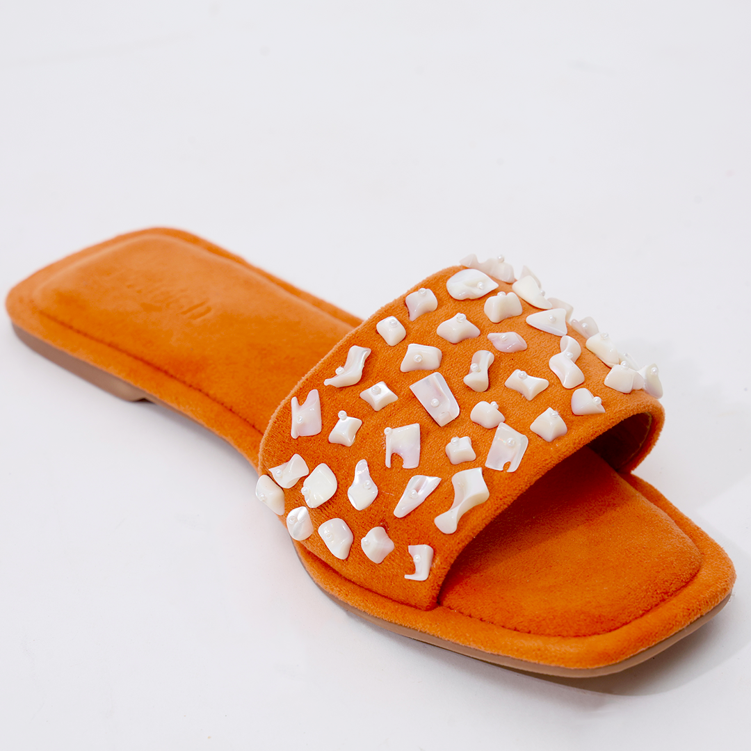 Tangerine Sea Shell
