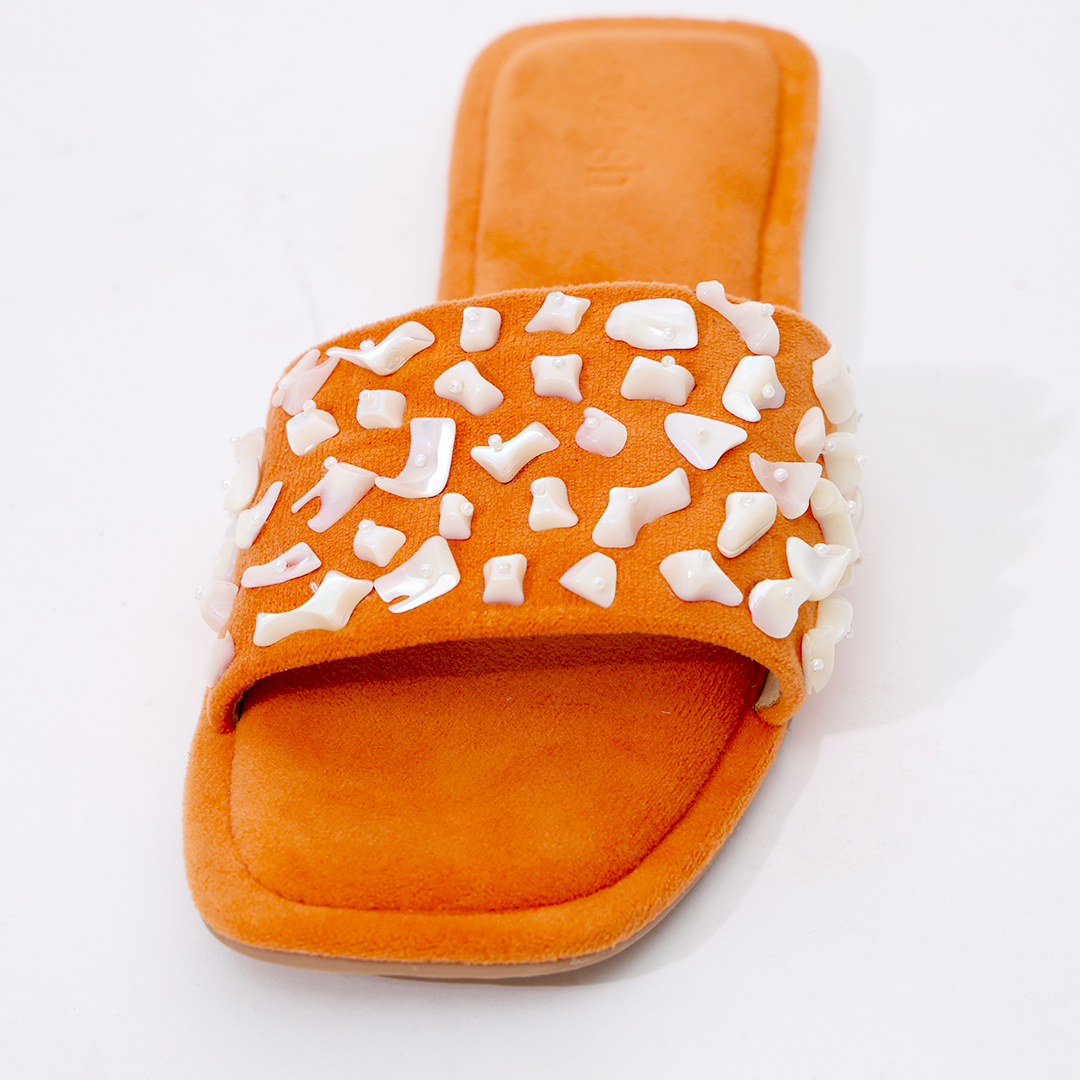 Tangerine Sea Shell