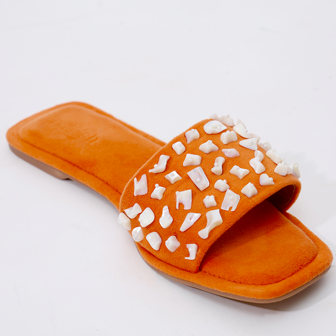 Tangerine Sea Shell