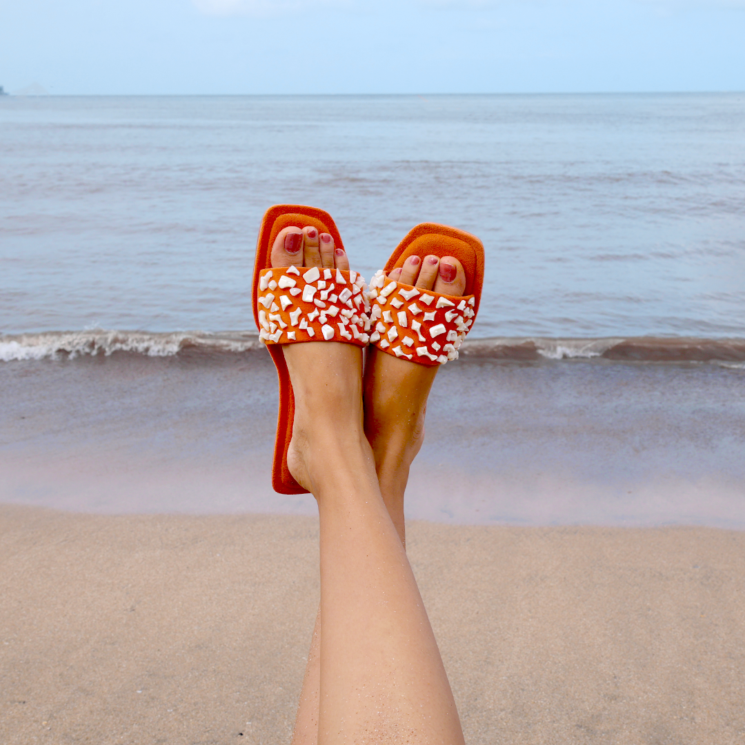 Tangerine Sea Shell