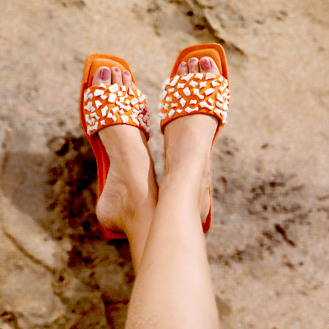 Tangerine Sea Shell